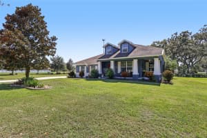 13101 DONE GROVEN DRIVE, DOVER, FL 33527 - MLS#MFRTB8438019