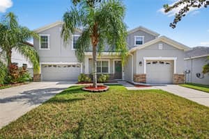 20017 BRIGHT OAK COURT, TAMPA, FL 33647 - MLS#MFRTB8438032
