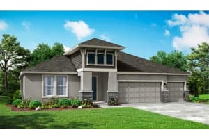 12305 White Blossom Ct, PARRISH