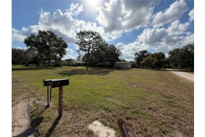19017 RED BIRD LANE, LITHIA, FL 33547 - MLS#MFRTB8438057