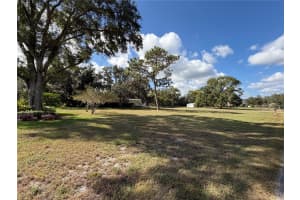 19017 RED BIRD LANE, LITHIA, FL 33547 - MLS#MFRTB8438057