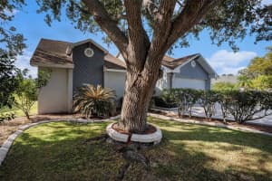 2013 SHADOW PINE DRIVE, BRANDON, FL 33511 - MLS#MFRTB8438064