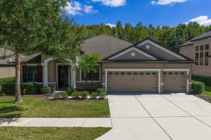 7911 Hampton Lake Dr, TAMPA
