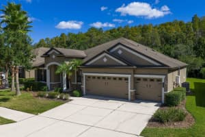 7911 HAMPTON LAKE DRIVE, TAMPA, FL 33647 - MLS#MFRTB8438116