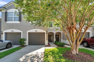10217 WESTPARK PRESERVE BOULEVARD, TAMPA, FL 33625 - MLS#MFRTB8438141