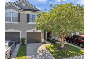 10217 WESTPARK PRESERVE BOULEVARD, TAMPA, FL 33625 - MLS#MFRTB8438141
