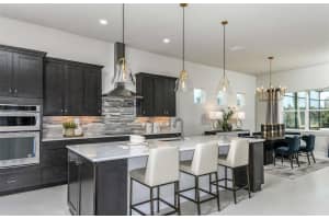 16412 RUSTIC SKY DRIVE, SPRING HILL, FL 34610 - MLS#MFRTB8438147