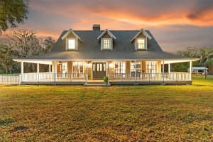 908 PELOTE CEMETERY ROAD, LITHIA, FL 33547 - MLS#MFRTB8438199
