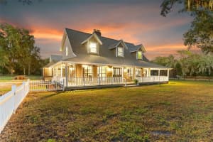 908 PELOTE CEMETERY ROAD, LITHIA, FL 33547 - MLS#MFRTB8438199