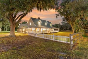 908 PELOTE CEMETERY ROAD, LITHIA, FL 33547 - MLS#MFRTB8438199
