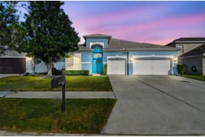 6818 Pine Springs Dr, WESLEY CHAPEL