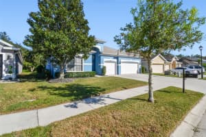 6818 PINE SPRINGS DRIVE, WESLEY CHAPEL, FL 33545 - MLS#MFRTB8438233