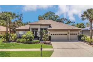 20632 Broadwater Dr, LAND O LAKES 20632 Broadwater Dr, LAND O LAKES