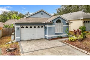 3412 Palm Beach Dr, VALRICO