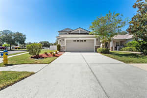 10238 PERTHSHIRE CIRCLE, LAND O LAKES, FL 34638 - MLS#MFRTB8438282