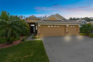 19200 SUNSET BAY DRIVE, LAND O LAKES, FL 34638 - MLS#MFRTB8438346