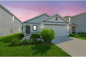 12136 LILY MAGNOLIA LANE, RIVERVIEW, FL 33569 - MLS#MFRTB8438379