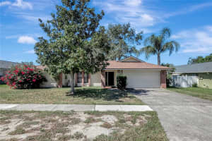 185 Foxcroft Dr W, PALM HARBOR 185 Foxcroft Dr W, PALM HARBOR