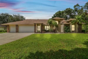 16916 FILLY LANE, ODESSA, FL 33556 - MLS#MFRTB8438402