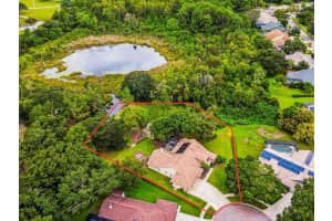 16916 FILLY LANE, ODESSA, FL 33556 - MLS#MFRTB8438402