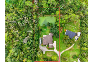 13887 GAVIN ROAD, DOVER, FL 33527 - MLS#MFRTB8438412