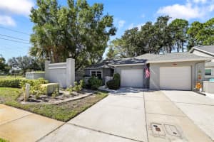 102 STEEPLECHASE LANE, PALM HARBOR, FL 34684 - MLS#MFRTB8438470