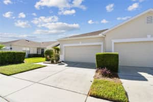 20830 JAFFA LANE, LAND O LAKES, FL 34637 - MLS#MFRTB8438483