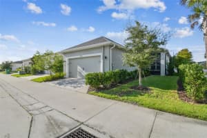 28638 COZY CREEK DRIVE, WESLEY CHAPEL, FL 33543 - MLS#MFRTB8438491