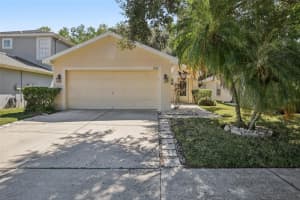 7842 CITRUS BLOSSOM DRIVE, LAND O LAKES, FL 34637 - MLS#MFRTB8438492