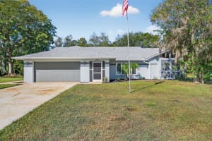 10051 Sleepy Willow Ct, SPRING HILL