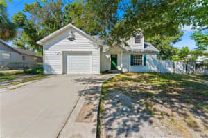 4126 Temple Heights Rd, TAMPA