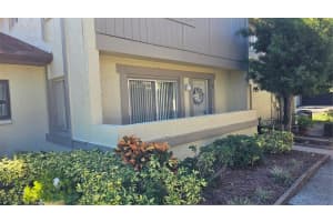2943 LICHEN LANE, CLEARWATER, FL 33760 - MLS#MFRTB8438607