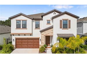 14868 SUMMER BRANCH DRIVE, LITHIA, FL 33547 - MLS#MFRTB8438610