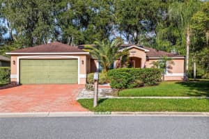24437 PAINTER DRIVE, LAND O LAKES, FL 34639 - MLS#MFRTB8438623