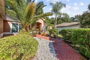 24437 PAINTER DRIVE, LAND O LAKES, FL 34639 - MLS#MFRTB8438623