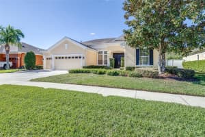 8919 CRYSTAL CREEK COURT, LAND O LAKES, FL 34638 - MLS#MFRTB8438634