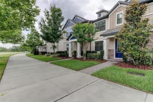 12526 RANGELAND BOULEVARD, ODESSA, FL 33556 - MLS#MFRTB8438655