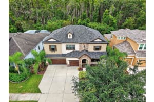 32035 WATOGA LOOP, WESLEY CHAPEL, FL 33543 - MLS#MFRTB8438726