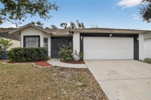 11005 KENBROOK DRIVE, RIVERVIEW, FL 33578 - MLS#MFRTB8438774