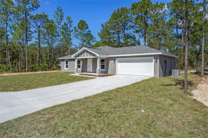 11418 FINCH ROAD, WEEKI WACHEE, FL 34614 - MLS#MFRTB8438784