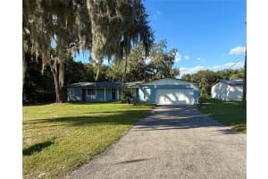 13340 LEWIS GALLAGHER ROAD, DOVER, FL 33527 - MLS#MFRTB8438829