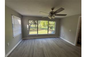 13340 LEWIS GALLAGHER ROAD, DOVER, FL 33527 - MLS#MFRTB8438829