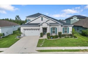 4802 BUTLER NATIONAL DRIVE, WESLEY CHAPEL, FL 33543 - MLS#MFRTB8438834