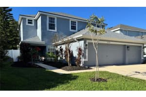 9323 Mandrake Ct, TAMPA