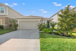 10271 HAWKS LANDING DRIVE, LAND O LAKES, FL 34638 - MLS#MFRTB8438842
