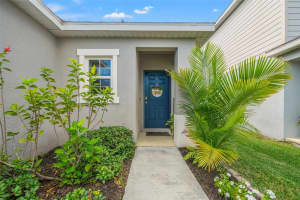 10271 HAWKS LANDING DRIVE, LAND O LAKES, FL 34638 - MLS#MFRTB8438842