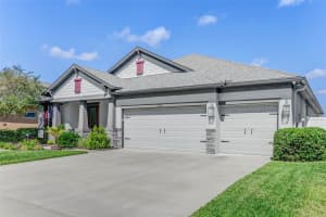 11750 SUNBURST MARBLE ROAD, RIVERVIEW, FL 33579 - MLS#MFRTB8438858