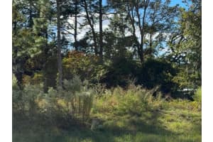 7800 PRIMROSE DRIVE, CITRUS SPRINGS, FL 34434 - MLS#MFRTB8438862