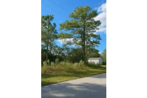 7800 PRIMROSE DRIVE, CITRUS SPRINGS, FL 34434 - MLS#MFRTB8438862