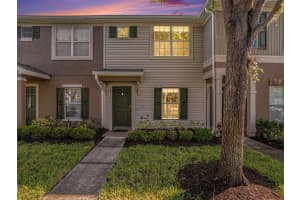 10716 CHESHAM HILL COURT, RIVERVIEW, FL 33579 - MLS#MFRTB8438870
